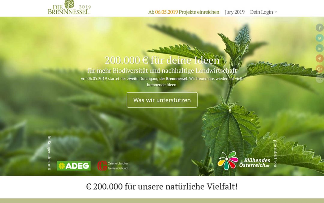 Nature conservation prize Die Brennnessel (The nettle)