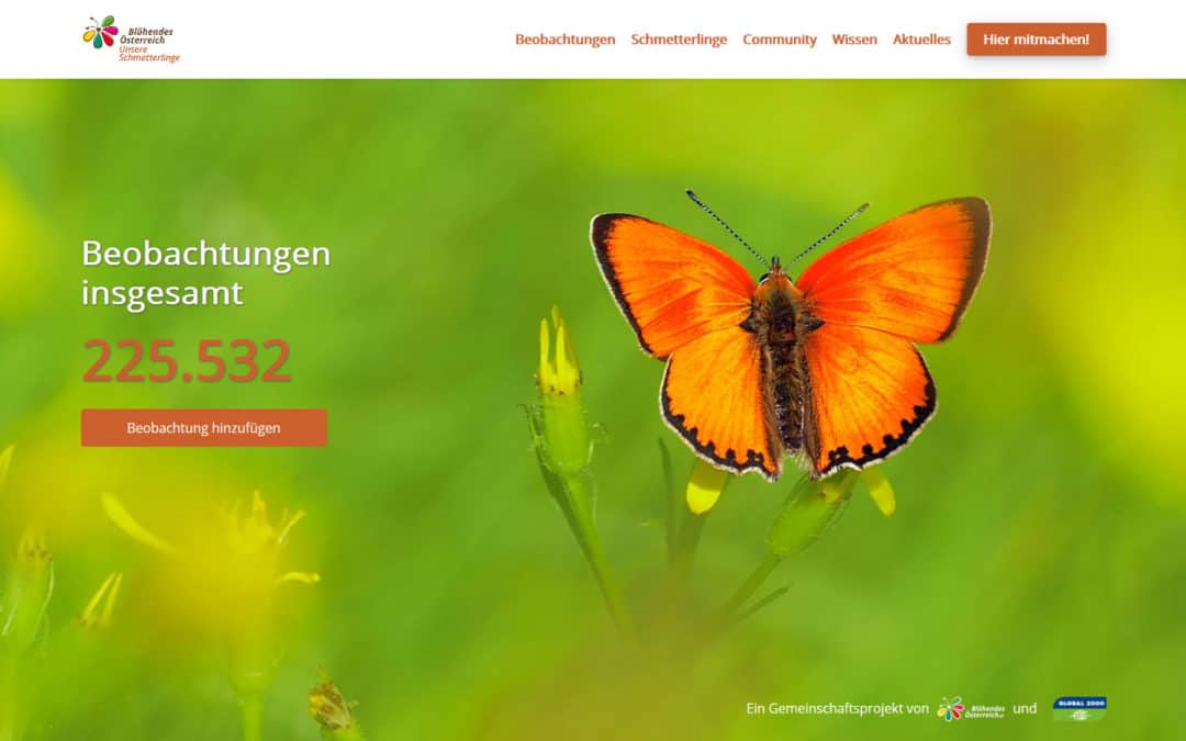 Butterfly App Relaunch website